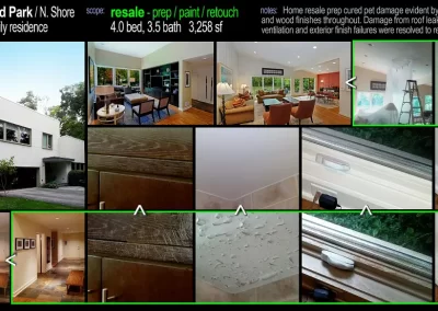 Professional Painter