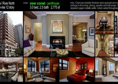 Professional Painter