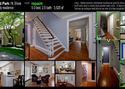 Professional Painter